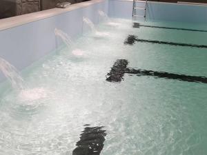 派陽(yáng)山森林康養(yǎng)